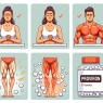 Proviron and its impact on muscle recovery