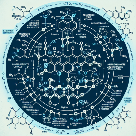 Intermediate cycle featuring trestolone acetato