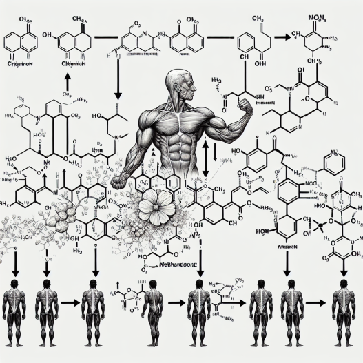 Metabolites of methandienone injection and their activity