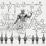 Metabolites of methandienone injection and their activity